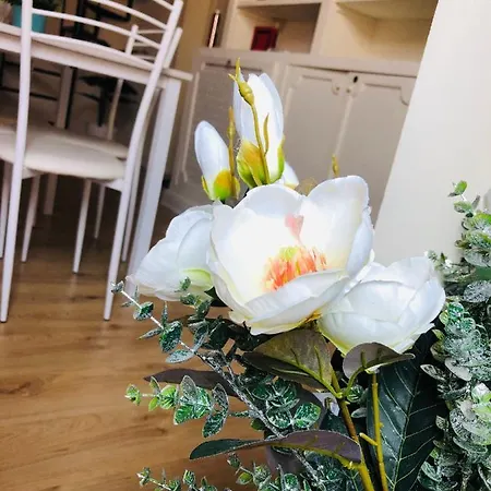 Apartament Casa Pulvirenti Katania